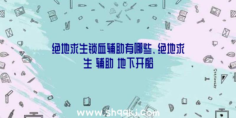 绝地求生锁血辅助有哪些、绝地求生